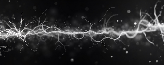 How Physical Signals Form Before Awareness