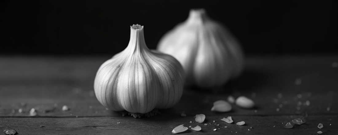 How Garlic Supports Your Cardiovascular System