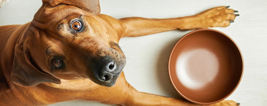 Emotional Hunger vs. Physical Hunger