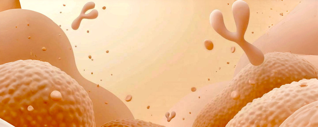 Stress Gut vs Food Gut: How to Tell the Difference Instantly