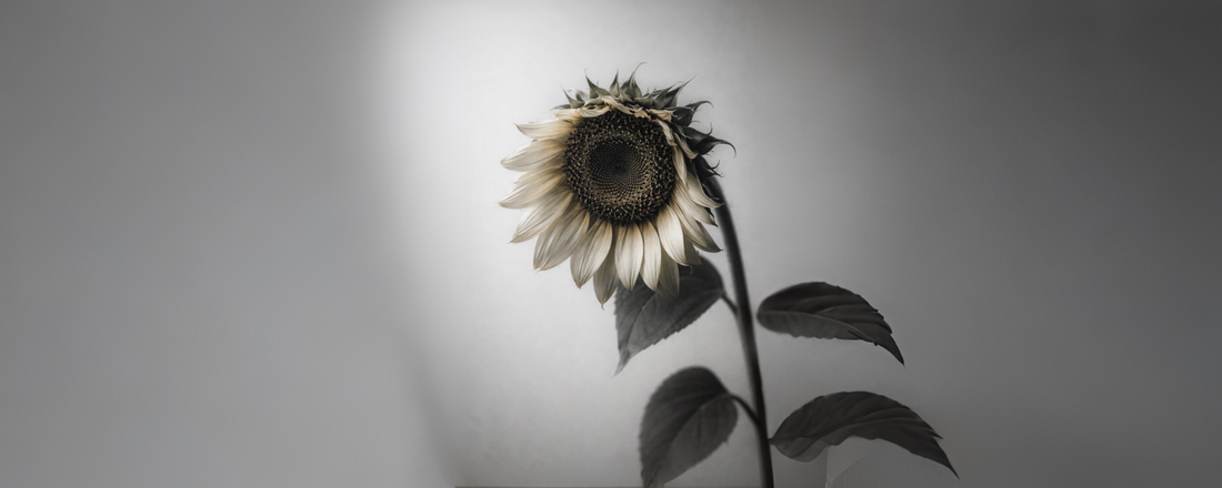 When Neglect Becomes a Life Pattern